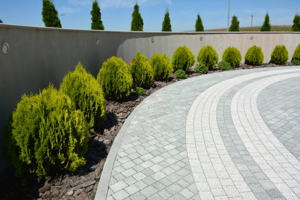 Best Local Driveway Pavers  in Burlington, KS